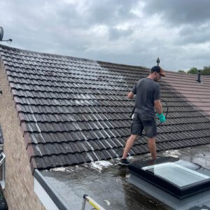 Roof Cleaning