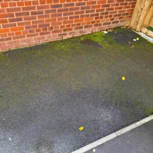 Moss-covered paved area beside a brick exterior wall