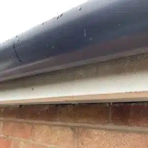 Dirty fascias before professional cleaning
