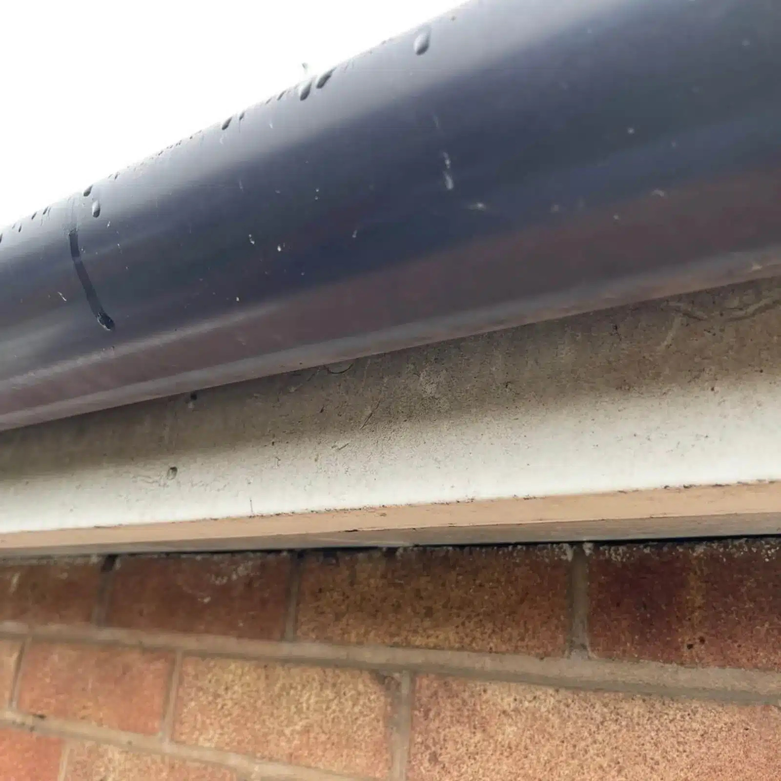Weathered soffit before professional exterior cleaning