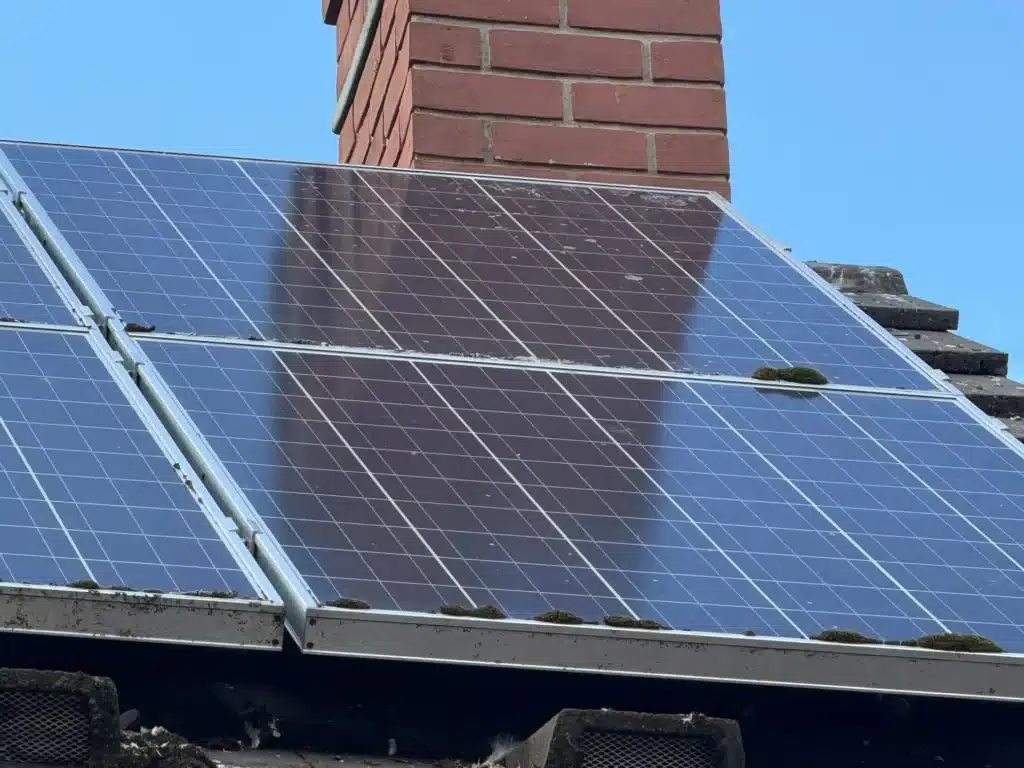 Moss gathered along solar panel frames and between panels at the Uckington property